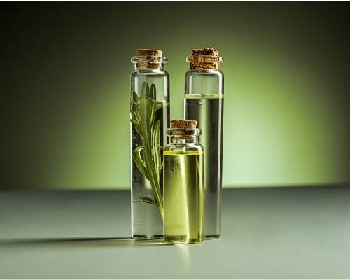 essential oil suppliers in India